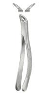 Tooth Forceps, American Pattern for Lower incisors ,Bicuspids Molars & roots